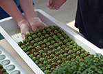 Humboldt Hydro Farms Greenhouse