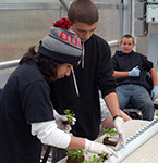 Humboldt Hydro Farms Greenhouse