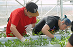 Humboldt Hydro Farms Greenhouse